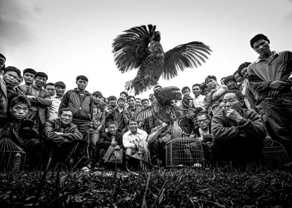 周末来游园，观山湖公园“遇见贵州 人间烟火抚人心”大型摄影展即将开幕！