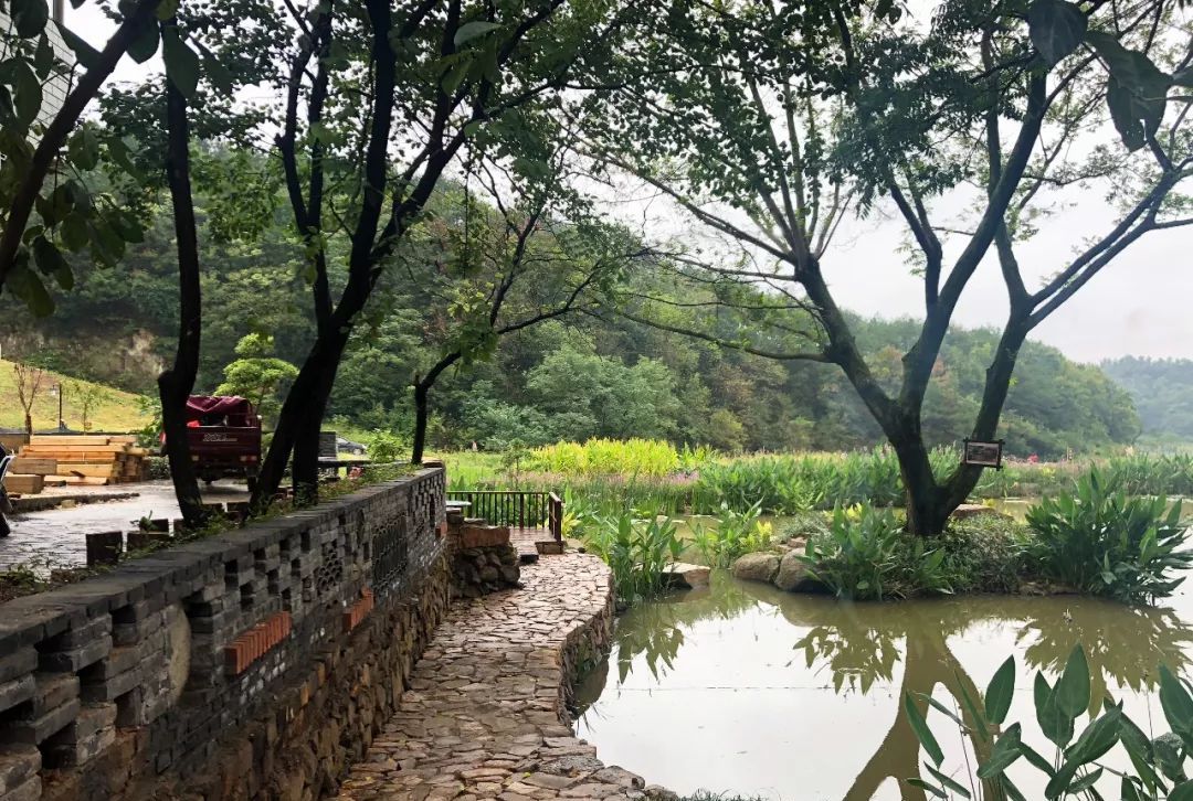 登山、休闲、娱乐……庐江这两个宝藏景点你来