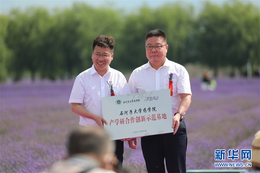 遇见花海 美丽无限——“草原之夜”可克达拉第三届伊帕尔汗薰衣草文化艺术节开幕