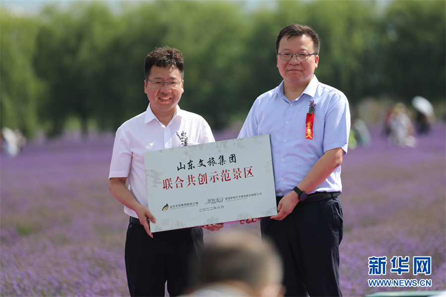 遇见花海 美丽无限——“草原之夜”可克达拉第三届伊帕尔汗薰衣草文化艺术节开幕