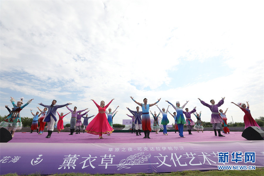 遇见花海 美丽无限——“草原之夜”可克达拉第三届伊帕尔汗薰衣草文化艺术节开幕